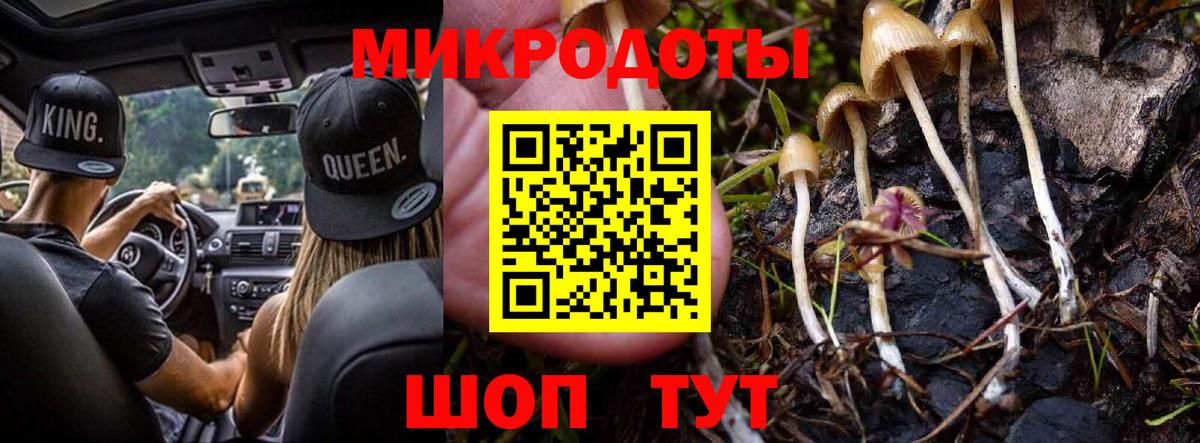 Галлюциногенные грибы мицелий  Вход с VPN  Тихорецк 